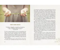 Zufriedenheit - 30 ermutigende Impulse für Frauen