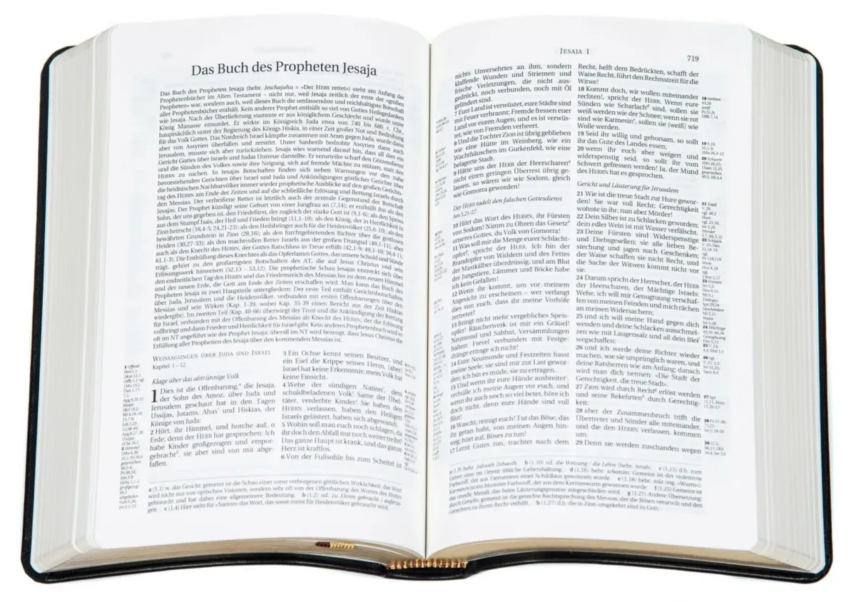 Allemand, Bible Schlachter 2000 d'étude - Fibrocuir, tranche or, noir