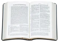 ALLEMAND, BIBLE SCHLACHTER 2000, ÉTUDE, FIBROCUIR,TR. OR, NOIR