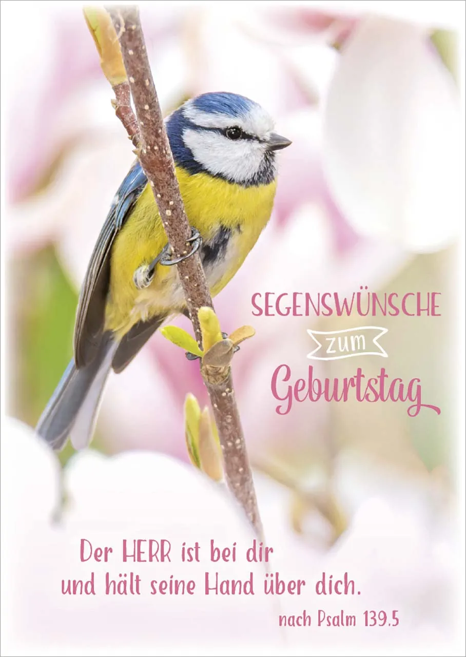 Postkarten Meise
