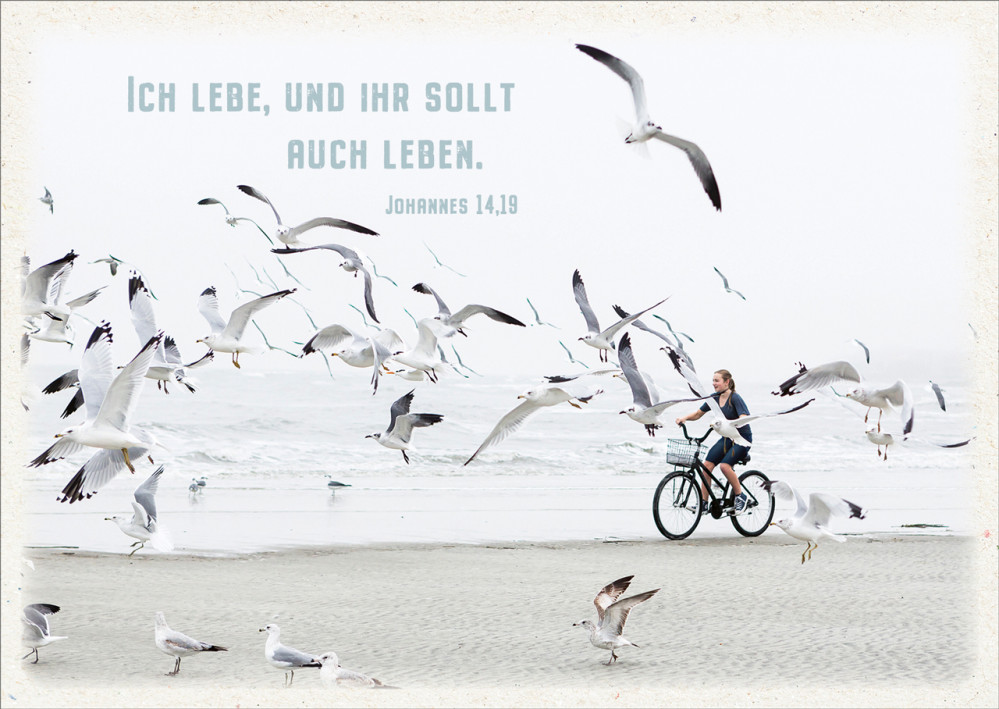 Postkarten Ich lebe - Möven am Strand