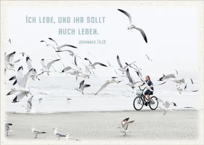 Postkarten Ich lebe - Möven am Strand