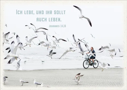 Postkarten Ich lebe - Möven am Strand