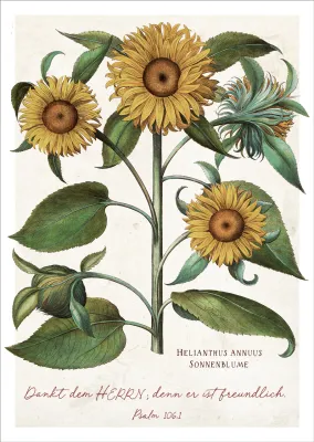 Postkarten Dankt dem Herrn - Sonnenblume