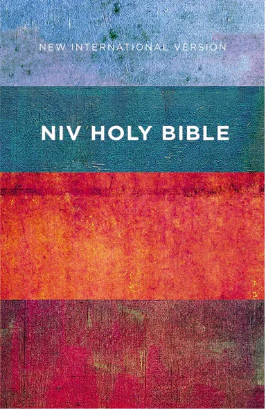 Anglais, Bible New International Version, paperback