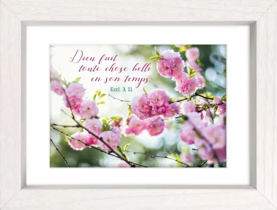Mon cadre inspiration - Fleurs