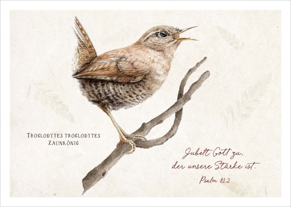 Postkarten Jubelt Gott zu - Zaunkönig