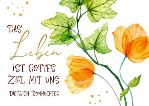 Postkarte Das Leben GF - 10 Stück pro Päckchen