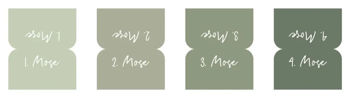 Bibel-Griffregister Salbeigrün