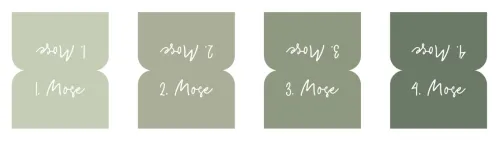 Bibel-Griffregister Salbeigrün