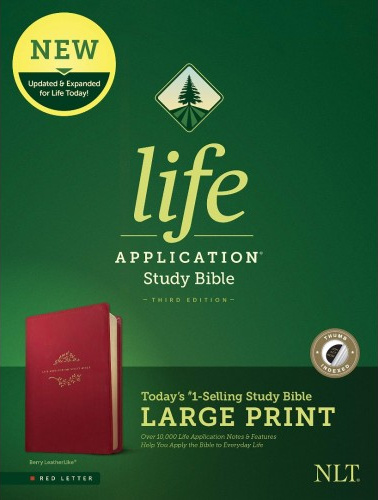 Anglais, Bible New Living Translation, Life Application Study Bible, similicuir, rouge baies