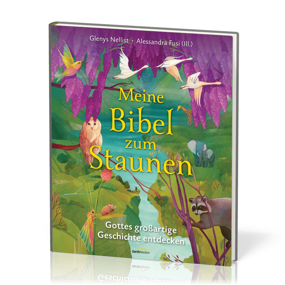 Meine Bibel zum Staunen - Gottes großartige Geschichte entdecken