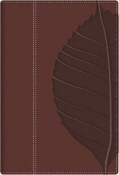 Espagnol, Bible Reina Valera 1960, duotone brune, onglets