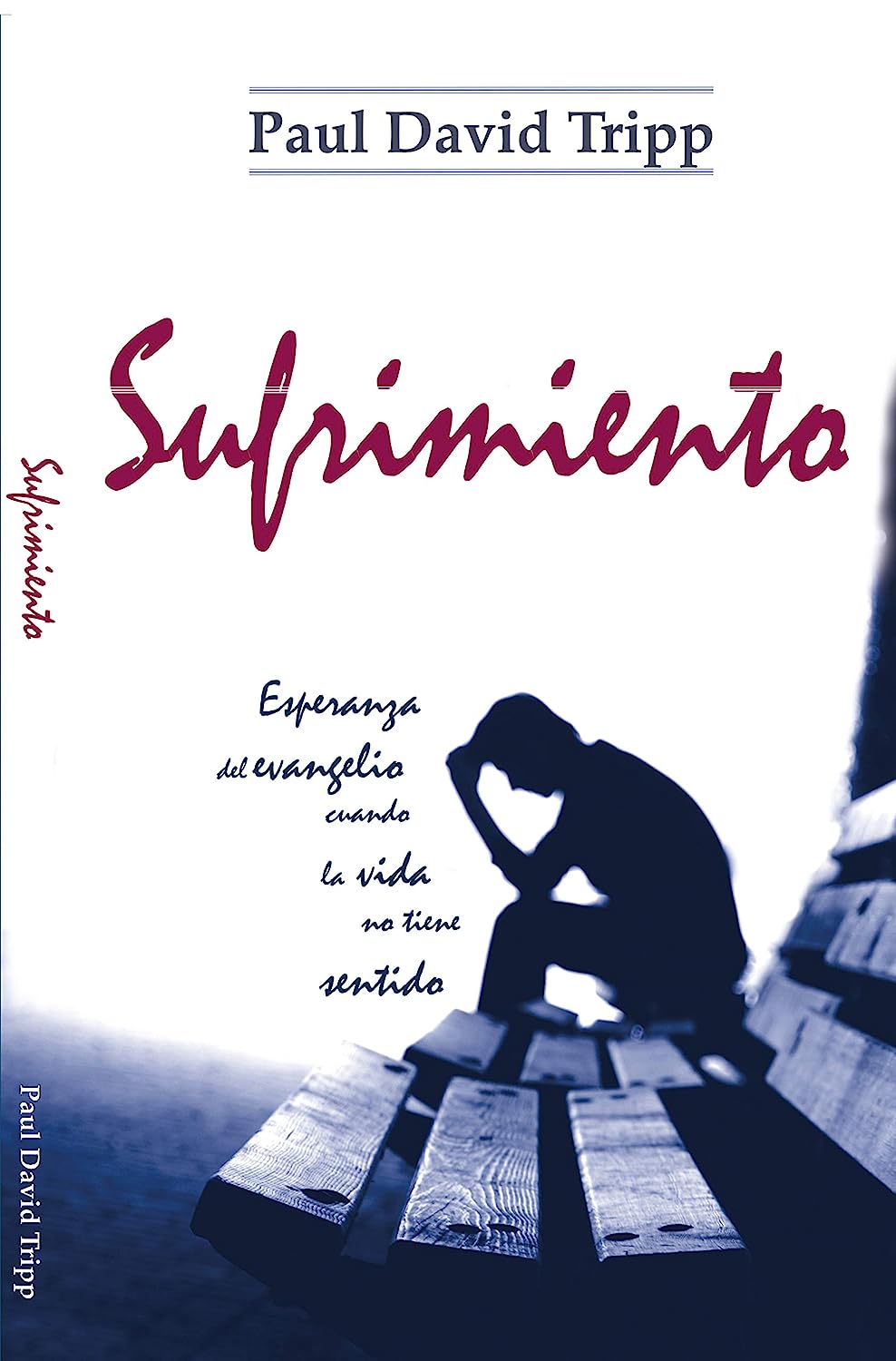 Sufrimiento - Esperanza del Evangelio cuando la vida no tiene sentido