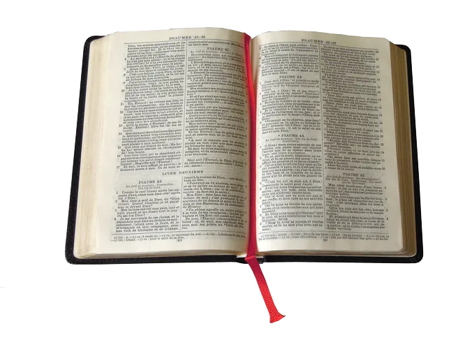 Bible Darby, poche, noire - couverture skyvertex