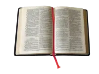 Bible Darby, poche, noire - couverture skyvertex