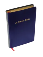 Bible Darby, poche, noire - couverture skyvertex