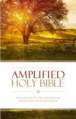 Anglais, Bible Amplified, paperback, couverture illustrée