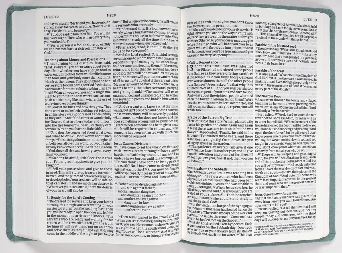Anglais, Bible, New Living Translation, Filament Edition, similicuir turquoise, motif eucalyptus...