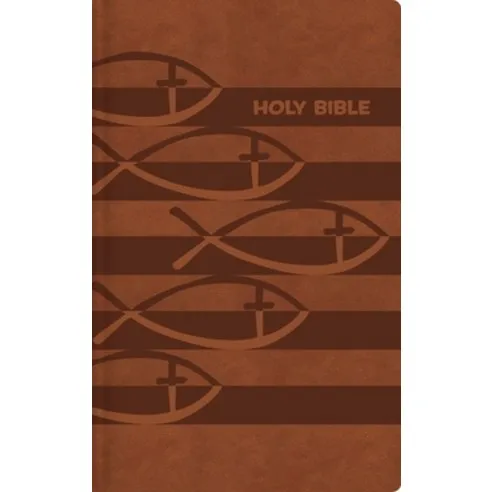 Anglais, Bible international pour les enfants, fibrocuir, brune