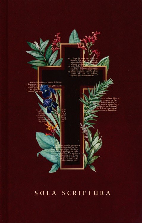 Espagnol, Bible Nueva Biblia de Las Américas, grands caractères, cartonnée, couverture illustrée...