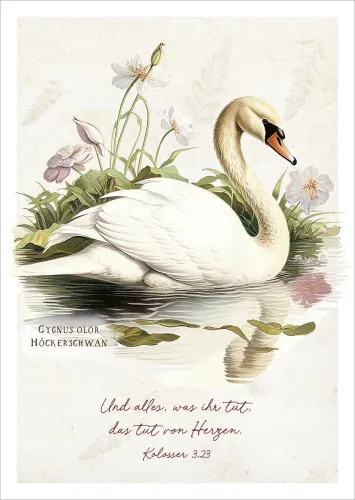 Postkarten Und alles, was ihr tut, das tut von Herzen - Höckerschwan