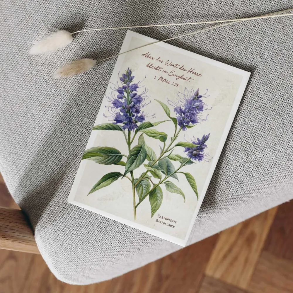 Postkarten Aber das Wort des Hern bleibt in Ewigkeit  - Bartblumen - 1 Petrus 1.24