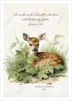 Postkarten Ich werde euch Zukunft schenken und Hoffnung geben - Reh