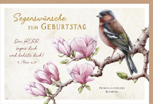 Faltkarte Der Herr segne dich - Vogel - 4.Mose 6.24