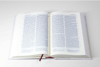 Bible, Neue Elberfelder 2003, poche, bleu