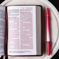 Anglais, Bible, New King James Version, compact, cuir, bleu