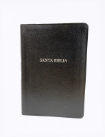 Espagnol, Bible Nueva Versión Internacional, Santa Biblia, noire