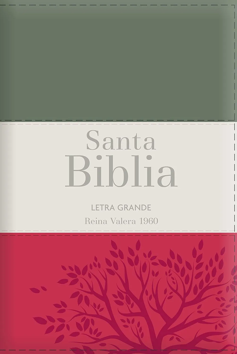 Espagnol, Bible, Reina Valera 1960, gros caractères, moyen format, similicuir souple tricolore...
