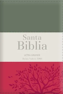 Espagnol, Bible, Reina Valera 1960, gros caractères, moyen format, similicuir souple tricolore...