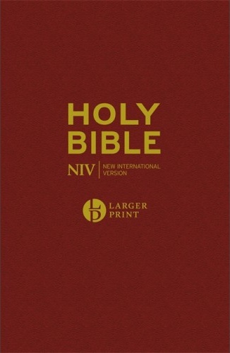 Anglais, Bible New International Version, gros caractères, bordeaux