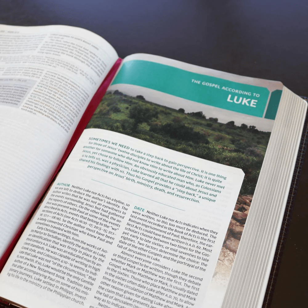 Anglais, Bible d'étude New King James Version, gros caractères, hardcover, couverture illustrée,...