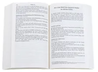 Allemand, Nouveau Testament Schlachter 2000 - Bleu foncé, gaufrage or