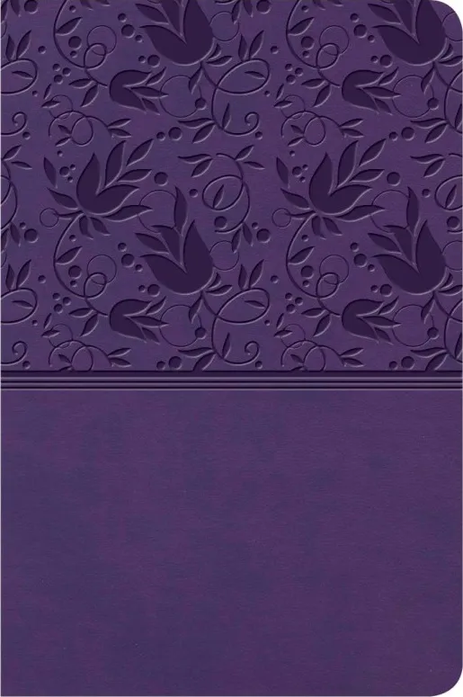 Anglais, Bible de référence King James Version, grand caractères, compact, similicuir, violette -...