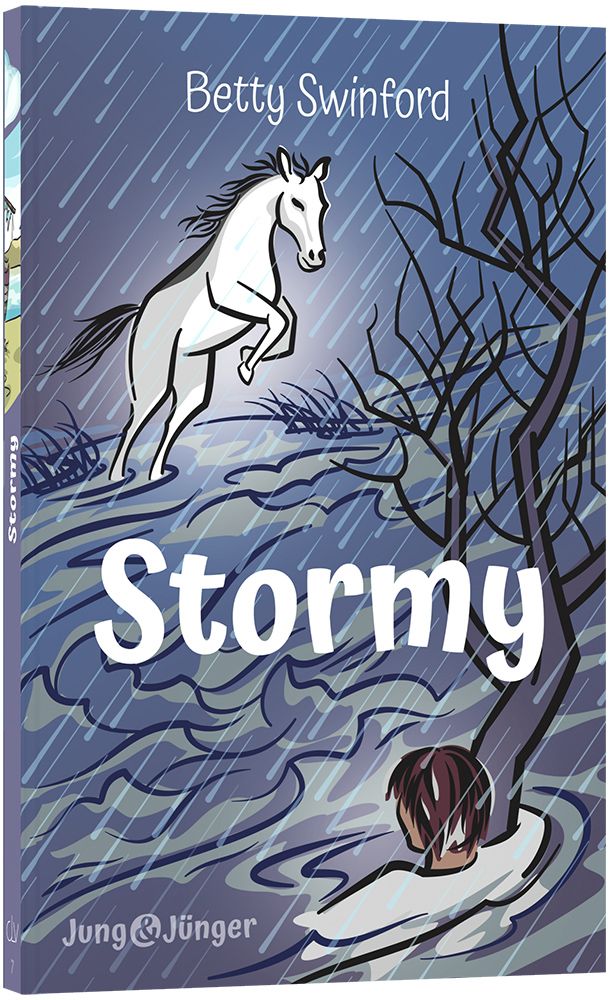 Stormy - Band 7 der Kinderbuchreihe »Jung und Jünger«
