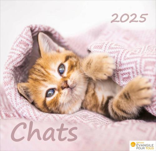 Chats, Merveilles de la création - Calendrier de table