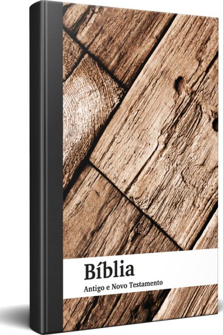 portugiesisch, Bibel einfach zu lesen - Biblia antigo e novo testamento