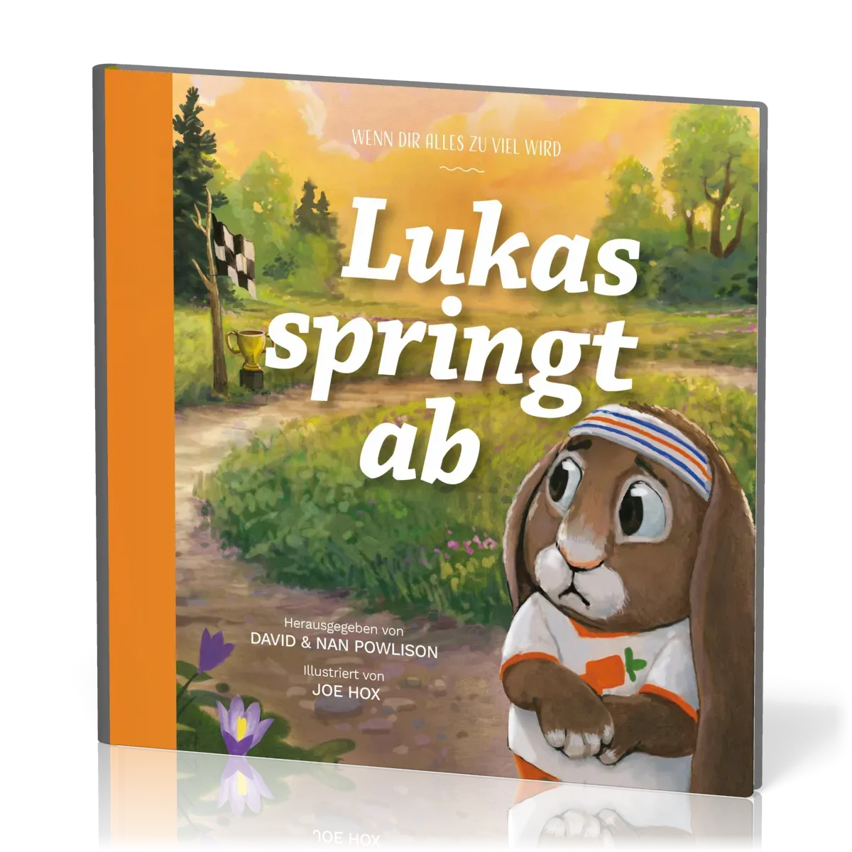 Lukas springt ab - Wenn dir alles zu viel wird - Reihe Gute Nachricht für kleine Leute