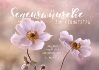 Postkarten Segenswünsche zum Geburtstag - 4. Mose 6,24
