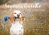 Faltkarte süßer Hund - Psalm 118:24