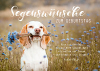 Postkarte süßer Hund zum Geburtstag - Psalm 118,24