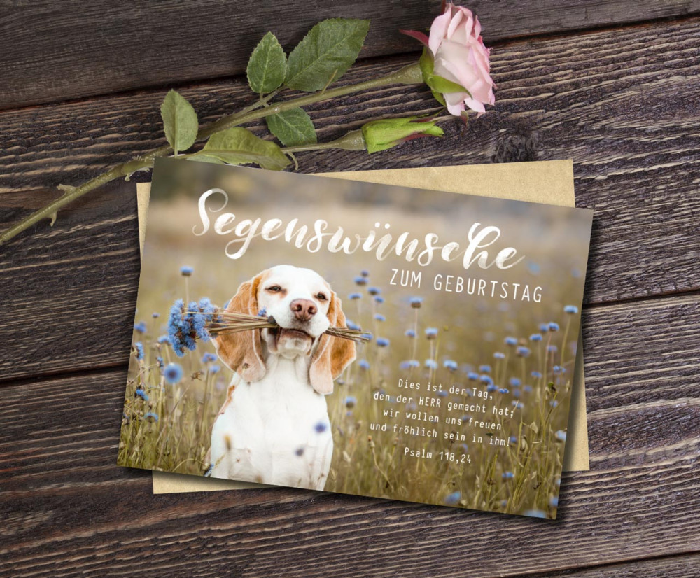 Postkarte süßer Hund zum Geburtstag - Psalm 118,24