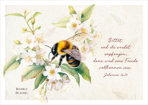 Postkarte Hummel an Blüten - Johannes 16,24