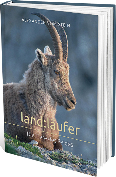 Land:Läufer - Die Tiere des Feldes - Landläufer