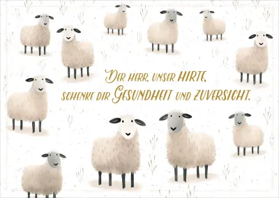 Postkarten Schafe