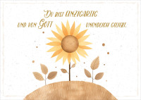 Postkarten Sonnenblume